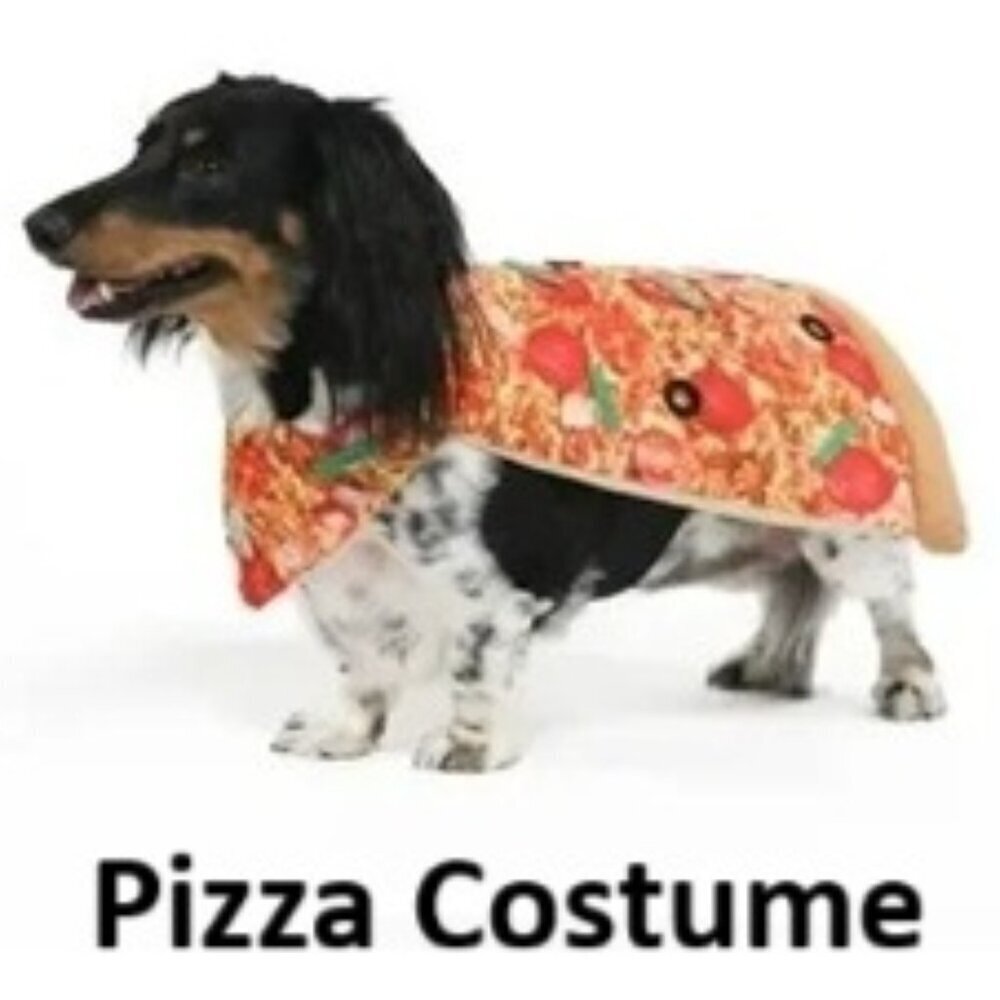 Vibrant Life Pizza Dog Halloween Costume, Size M